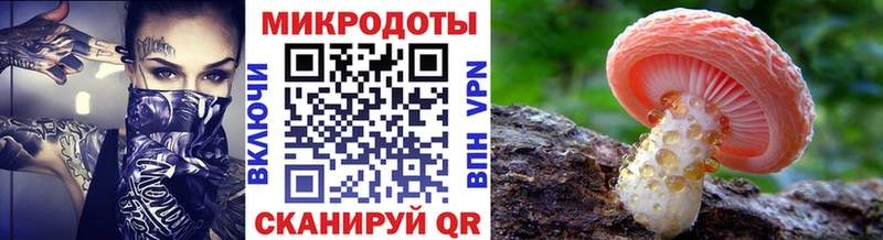 Псилоцибиновые грибы мицелий  Пыть-Ях 