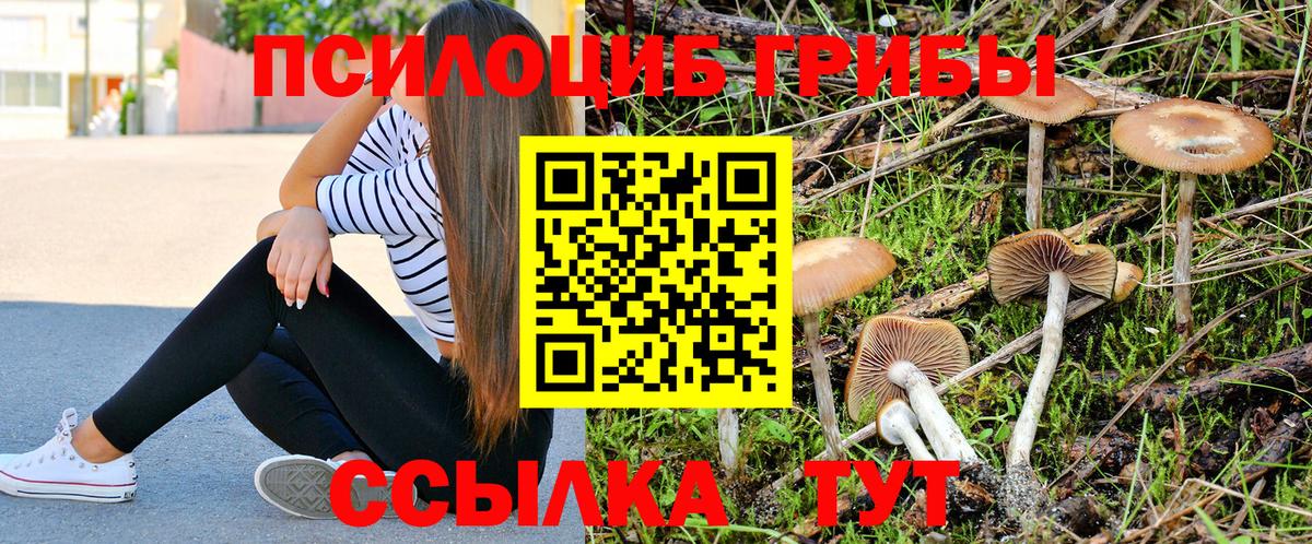 Галлюциногенные грибы мухоморы Пыть-Ях